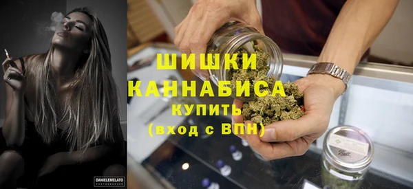 мдпв Лиски