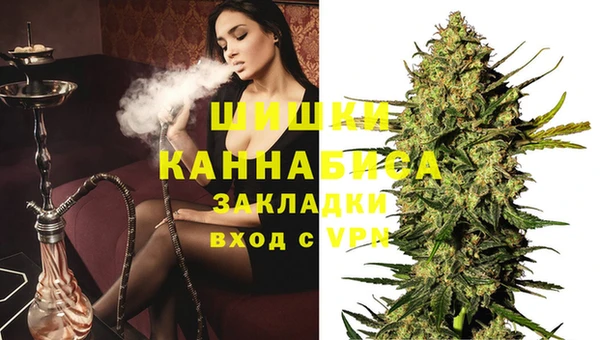 хмурый Липки