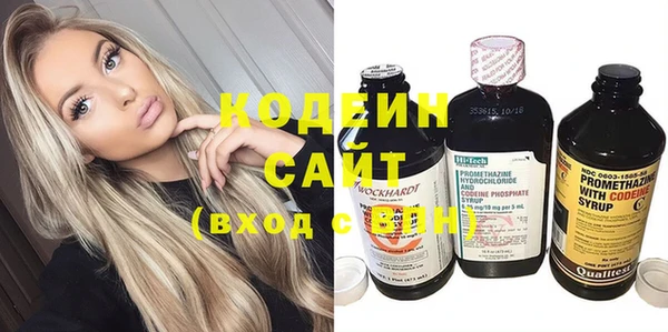 хмурый Липки