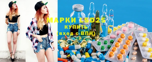 хмурый Липки