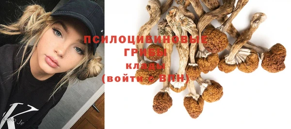 мдпв Лиски