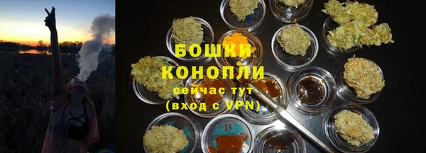 мдпв Лиски