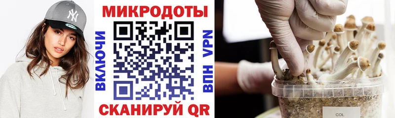 Псилоцибиновые грибы мухоморы  как найти наркотики  Фурманов 